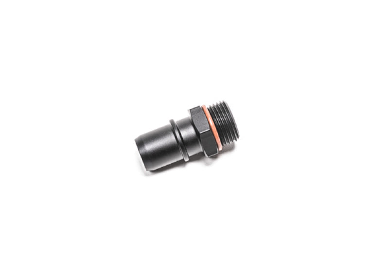 Load image into Gallery viewer, Radium Engineering 10AN ORB To .750 SAE Male
