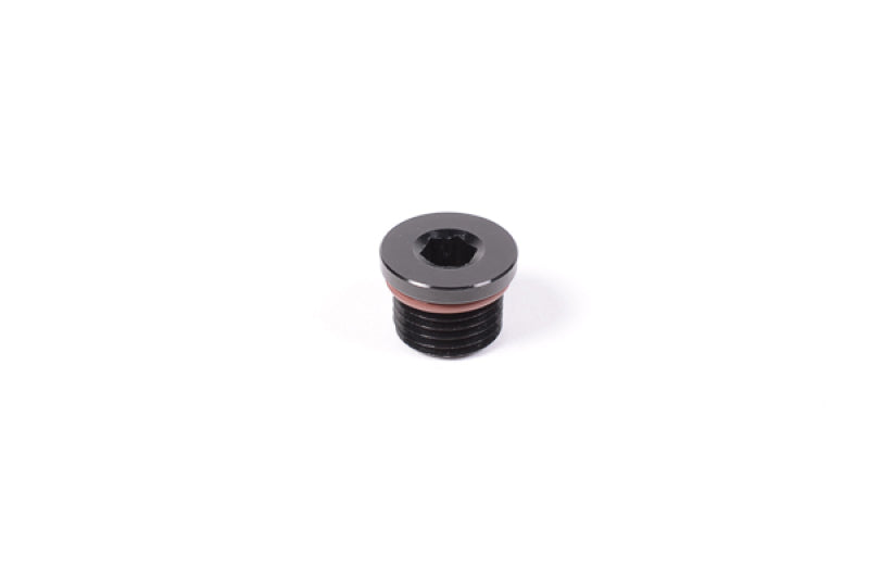 Load image into Gallery viewer, Radium Engineering 6AN ORB Plug

