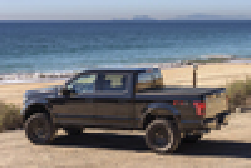 Load image into Gallery viewer, Photo - Mounted
