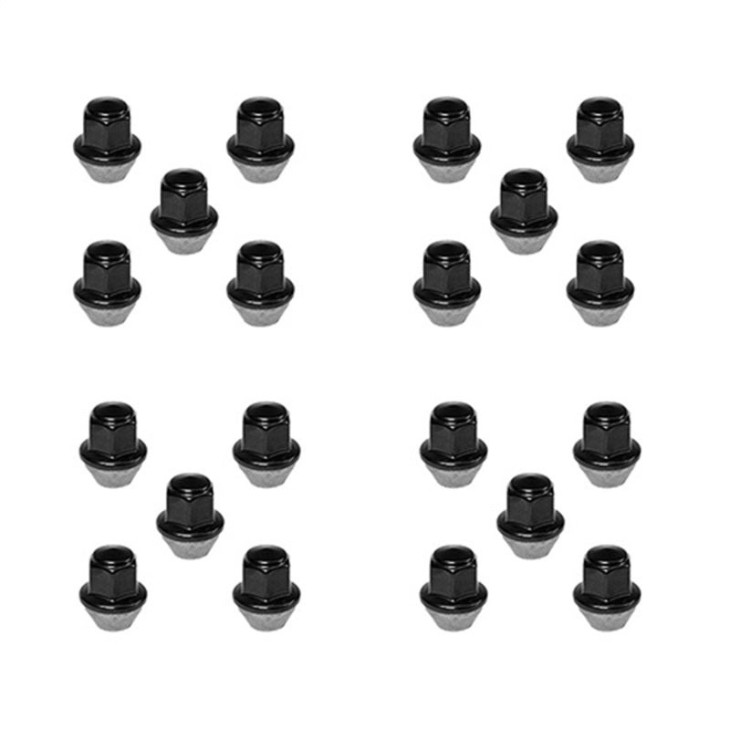 Load image into Gallery viewer, Photo - Primary
