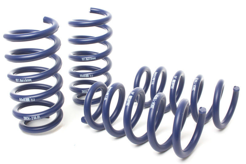 Load image into Gallery viewer, H&amp;R 19-21 BMW X5 M50i/X5 xDrive40i/X5 xDrive50i G05 Sport Spring
