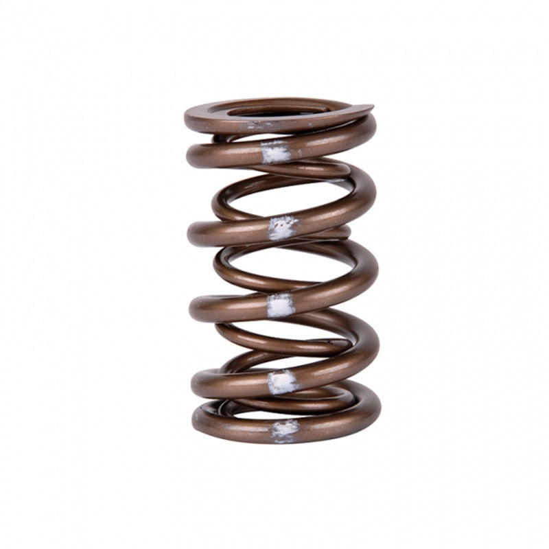 Load image into Gallery viewer, Skunk2 Pro Series Honda/Acura K-Series i-VTEC XP Valve Spring Set (Dual Springs)
