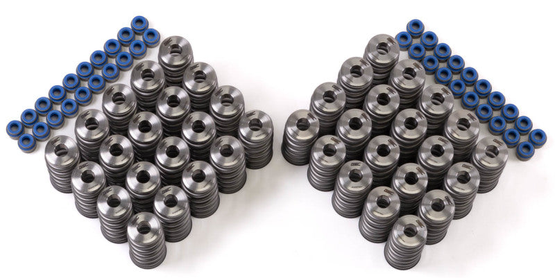 Load image into Gallery viewer, GSC P-D Audi R8 V10 / Lamborghini Huracan V10 5.2L Valve Spring &amp; Ti Retainer Kit (w/Seats &amp; Seals)
