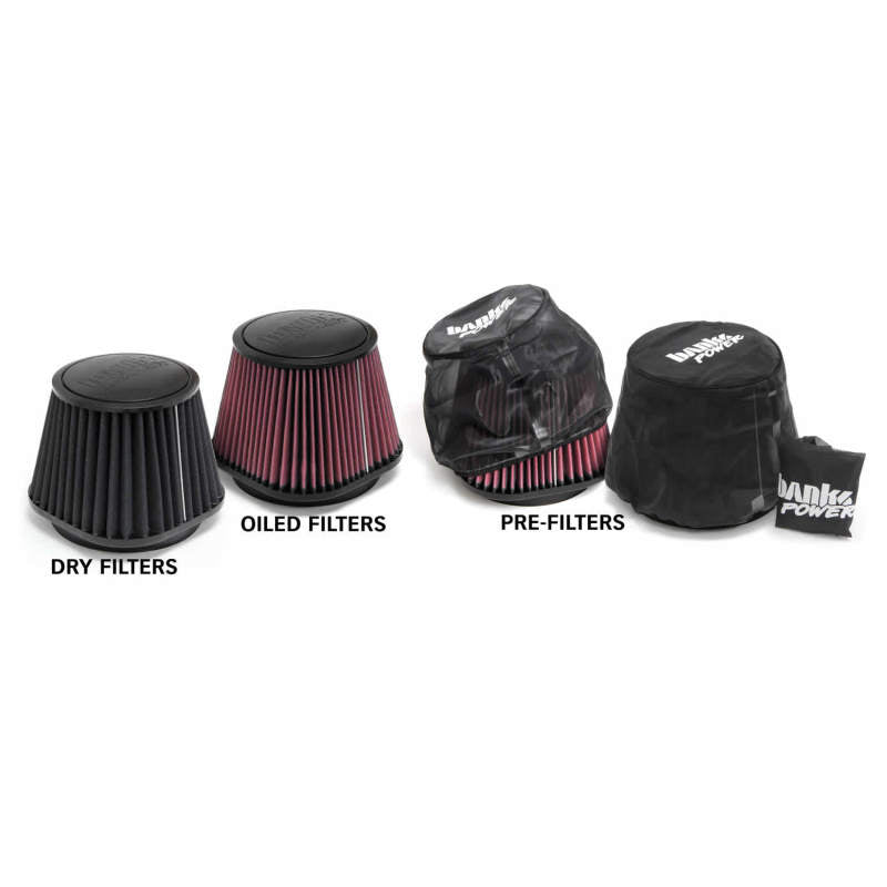 Load image into Gallery viewer, Banks Power 03-07 Dodge 5.9L Ram-Air Intake System - Dry Filter
