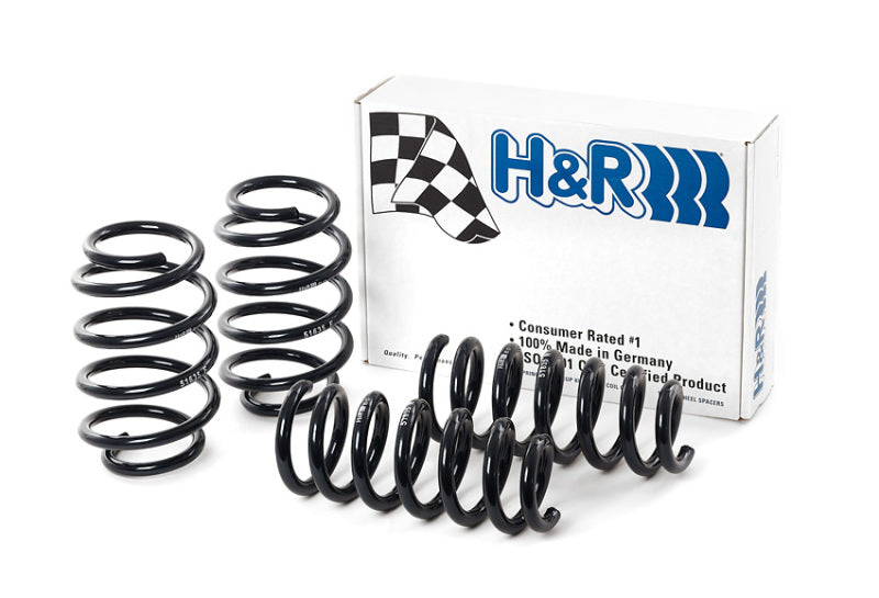 Load image into Gallery viewer, H&amp;R 09-19 Ford Flex (2WD/AWD) Sport Spring
