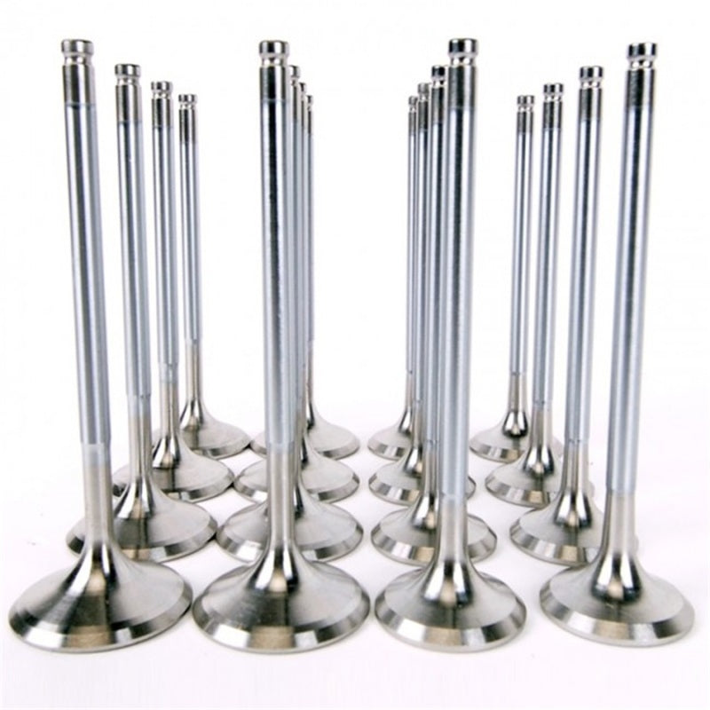 Load image into Gallery viewer, Skunk2 Alpha Series Honda/Acura Stock Size H Series Valve Set (Standard Compression)
