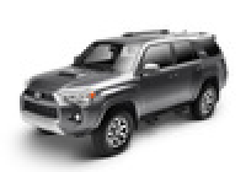 Load image into Gallery viewer, N-Fab RKR Step System 10-17 Toyota 4 Runner (Trail Edition) SUV 4 Door - Tex. Black - 1.75in
