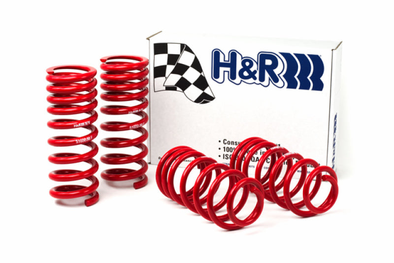 Load image into Gallery viewer, H&amp;R 94-95 Ford Mustang/Mustang Cobra V8 Race Spring
