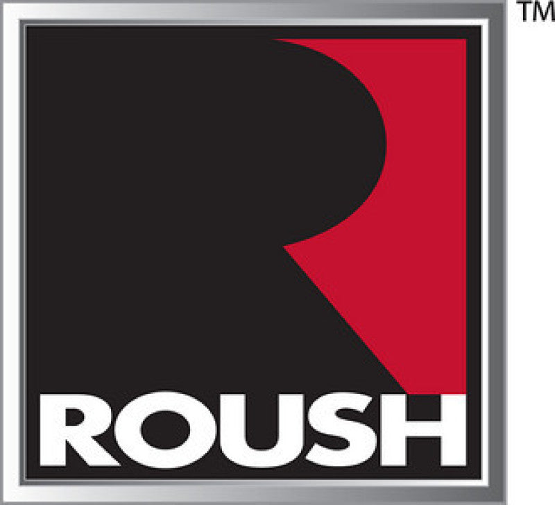 Load image into Gallery viewer, Roush 2018-2021 F-150 5.0L V8 Cold Air Intake Kit (rsh422088 for CARB Legal Version)
