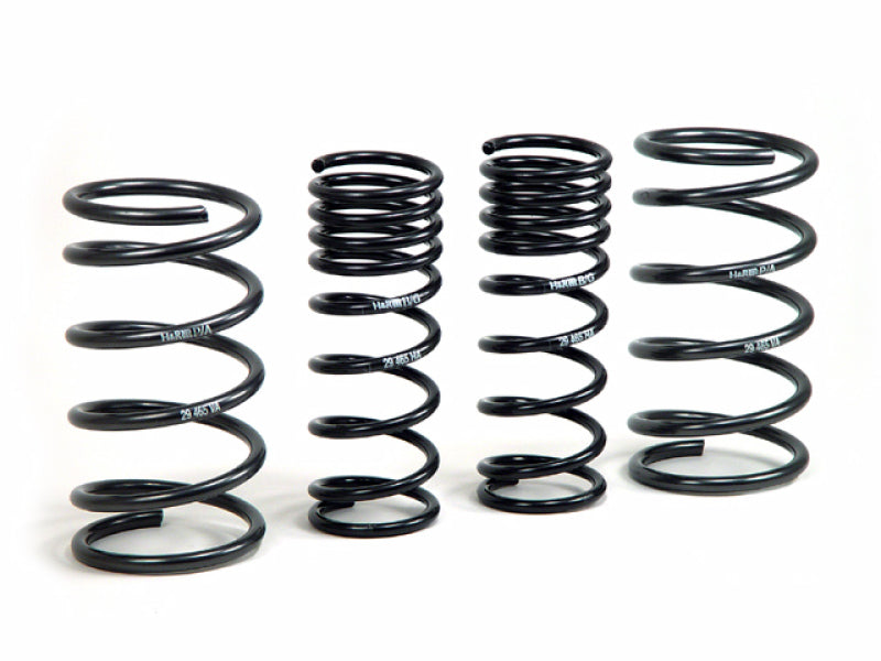 Load image into Gallery viewer, H&amp;R 00-05 Ford Focus/Focus SVT DAW Sport Spring (Non Wagon)
