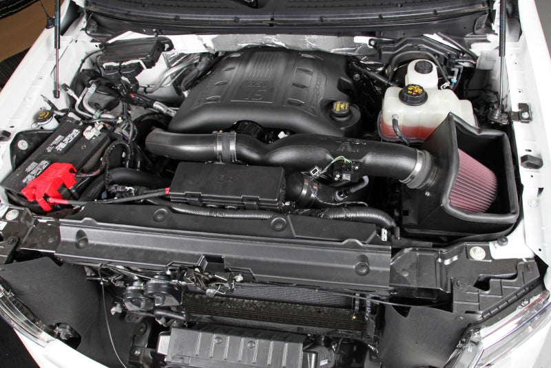 Load image into Gallery viewer, K&amp;N 11-14 Ford F-150 3.5L V6 Performance Intake Kit
